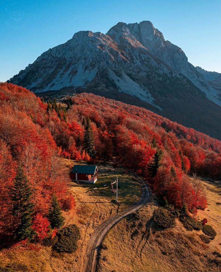 度假居 Mountain House Komovi-radunovic